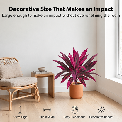 Artificial Boston Fern & Dragon's Blood Tree Plants