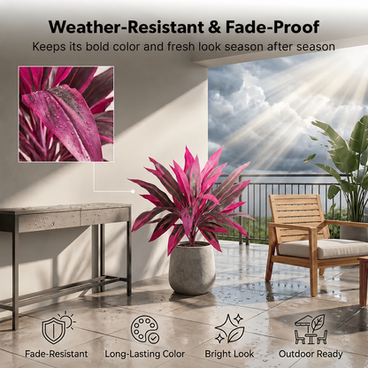 Artificial Boston Fern & Dragon's Blood Tree Plants