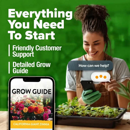 Zinnia Seeds - Pure Seeds - No Filler - USA Heirloom Flower Seeds