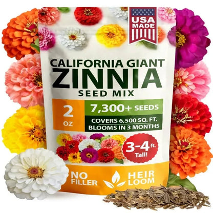 Zinnia Seeds - Pure Seeds - No Filler - USA Heirloom Flower Seeds