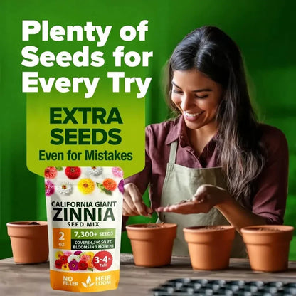 Zinnia Seeds - Pure Seeds - No Filler - USA Heirloom Flower Seeds